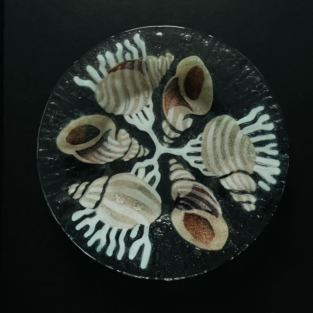 Sydenstricker Nautical Seashell fused glass plate - Picture 2 of 10